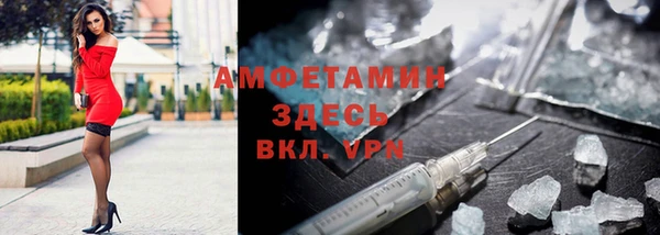 дмт Каменка