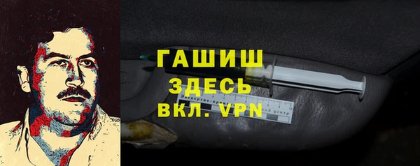 дмт Каменка