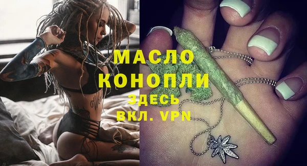 дмт Каменка