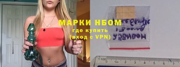 дмт Каменка