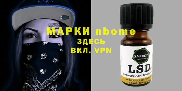 дмт Каменка