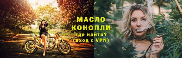 дмт Каменка