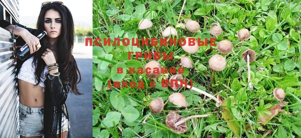 мет Каменногорск