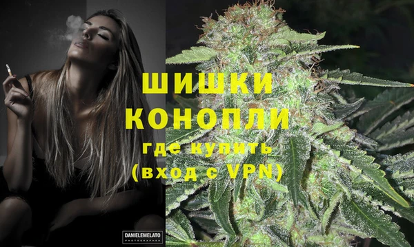 дмт Каменка