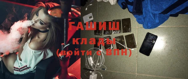 дмт Каменка