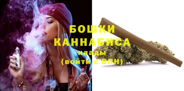 дмт Каменка
